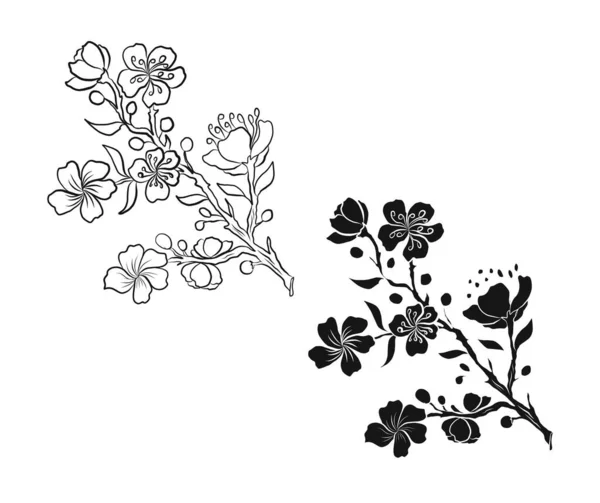 Κλάδος Του Άνθους Κερασιάς Λευκό Vector Illustration Sakura Flower Νίκαια — Διανυσματικό Αρχείο