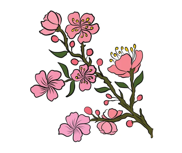Branch Cherry Blossom White Vector Illustration Sakura Flower Nice Peach — Stock Vector