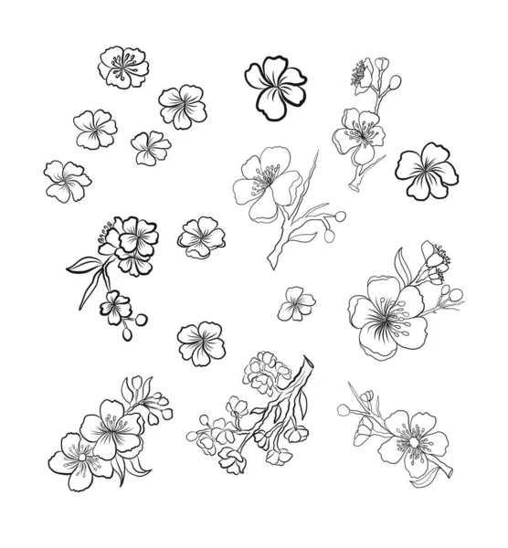 Rama Flor Cerezo Blanco Ilustración Vectorial Flor Sakura Niza Flor — Archivo Imágenes Vectoriales
