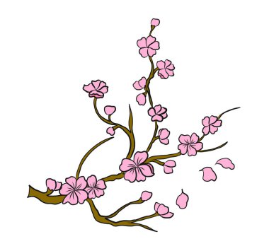 Beyaz üzerine kiraz ağacı dalı. Vektör illüstrasyonu Sakura Çiçeği, Güzel Şeftali Çiçeği izole vektörü. Japon çiçekleri..
