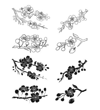 Beyaz üzerine kiraz ağacı dalı. Vektör illüstrasyonu Sakura Çiçeği, Güzel Şeftali Çiçeği izole vektörü. Japon çiçekleri..