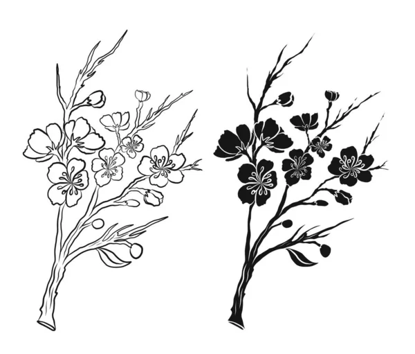Rama Flor Cerezo Blanco Ilustración Vectorial Flor Sakura Niza Flor — Archivo Imágenes Vectoriales