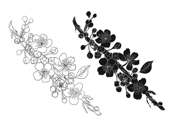 Branche Fleur Cerisier Sur Blanc Illustration Vectorielle Fleur Sakura Jolie — Image vectorielle