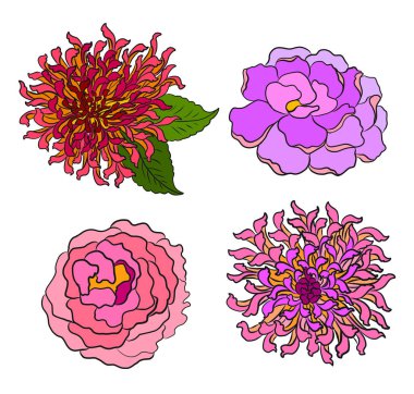 Arkaplanda resim yapmak için çiçek vektörü seti. Perdeye yazı yazdırmak için şakayık. Nakış stili için geleneksel Asya çiçek çizimi. Kasımpatı vektörü. Yaz için güzel bir çizgi..