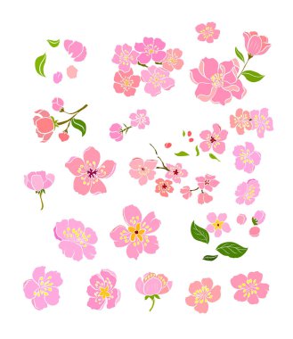 Beyaz üzerine kiraz ağacı dalı. Vektör illüstrasyonu Sakura Çiçeği, Güzel Şeftali Çiçeği izole vektörü. Japon çiçekleri..