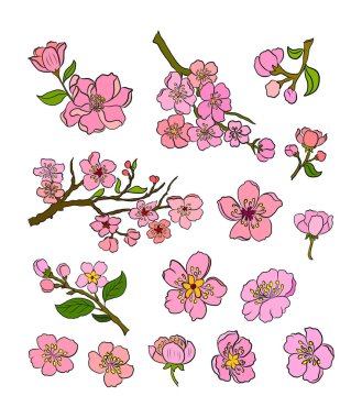 Beyaz üzerine kiraz ağacı dalı. Vektör illüstrasyonu Sakura Çiçeği, Güzel Şeftali Çiçeği izole vektörü. Japon çiçekleri..