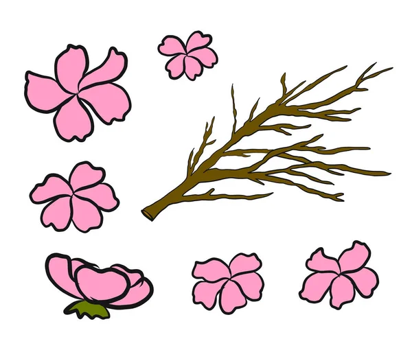 Tak Van Cherry Bloesem Wit Vector Illustratie Sakura Bloem Mooie — Stockvector