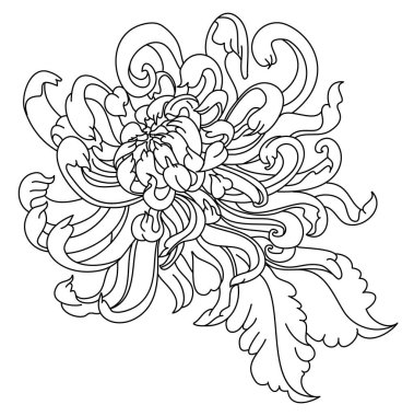 Chrysanthemum flower vector illustration for tattoo or printing on background.Design for tattoo style on isolated white background.