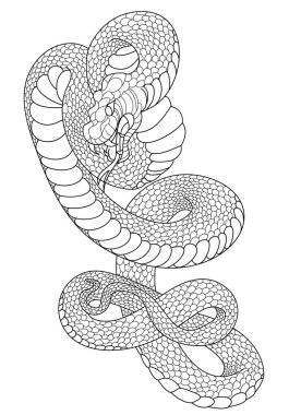 snake cobra tattoo style Cobra vector. traditional Japanese culture for tattoo style.