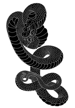 snake cobra tattoo style Cobra vector. traditional Japanese culture for tattoo style.
