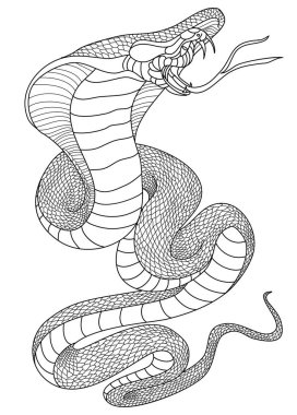 snake cobra tattoo style Cobra vector. king Cobra snake with mouth open.Snake cobra illustration on black background.