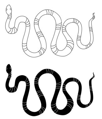 Red snake vector.Lampropeltis triangulum vector.Sticker and hand drawn snake for tattoo.Red snake Reptile on white background.Hand drawn snake vector Illustration on black background.Milk snake vector.