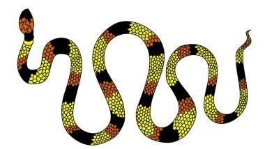 Hand drawn snake vector Illustration on black background.Milk snake vector.Lampropeltis triangulum vector.Sticker and hand drawn snake for tattoo.snake Reptile illustration.