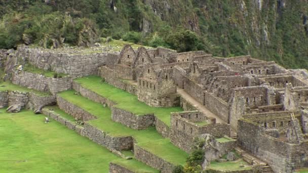 Machu Picchu — Stockvideo