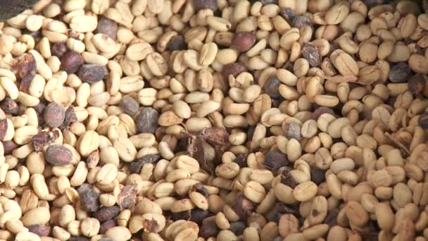 Los granos de café cierran — Vídeo de stock