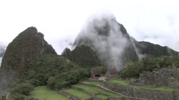 Makrill Picchu — Stockvideo