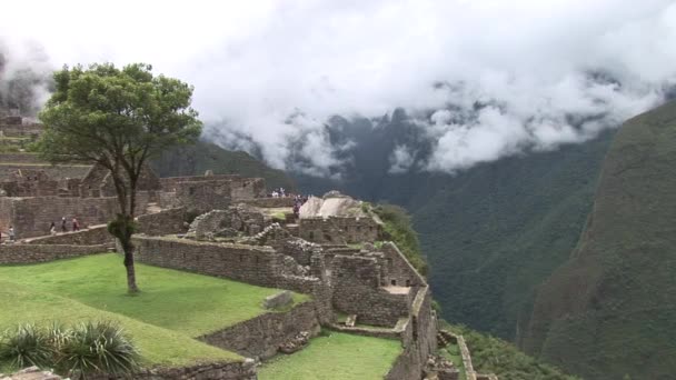 Makrill Picchu — Stockvideo