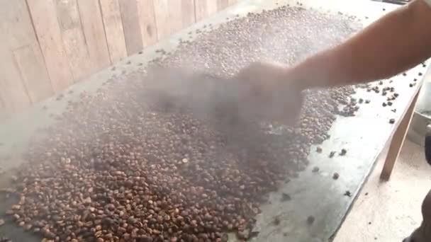 Чоловік працює з кавовими зернами — стокове відео