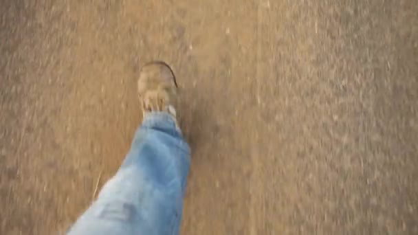 男性の足を歩いて — ストック動画