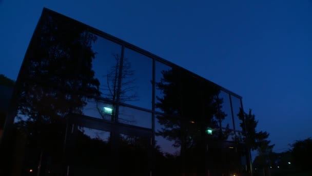 Reflexión de la naturaleza sobre el muro del edificio — Vídeos de Stock