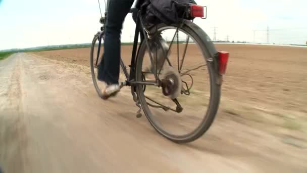 Ciclismo — Vídeo de Stock