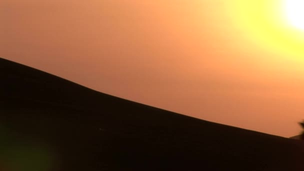 Buggy trip in the sand desert in Peru, South America — Stock Video