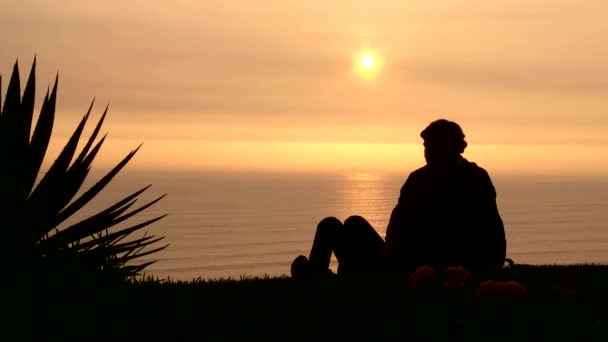 Młoda para, podziwiając zachód słońca na plaży — Wideo stockowe