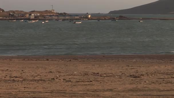 Línea costera en las Paracas — Vídeo de stock