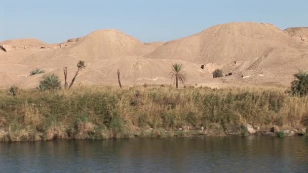 Pluche landschappen uit de rivier de Nijl — Stockvideo