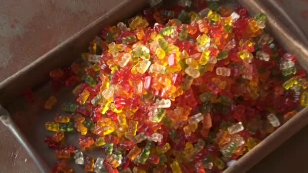 Gummibears in het vak — Stockvideo