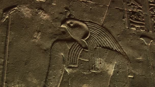 Templo de Horus — Vídeo de stock