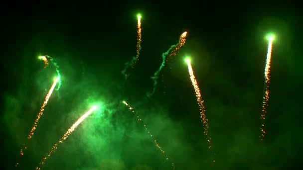 Fogos de artifício — Vídeo de Stock