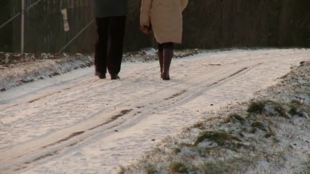 Pareja caminando en invierno — Vídeos de Stock