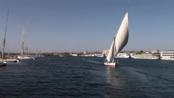 Segeln auf dem Nil — Stockvideo