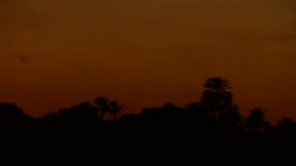 Nacht in Egypte, nile — Stockvideo