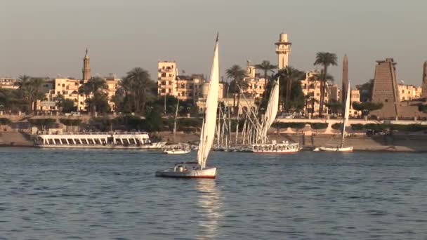 Barcos navegando no Nilo — Vídeo de Stock
