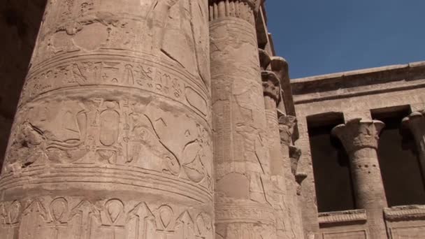 De tempel van horus — Stockvideo