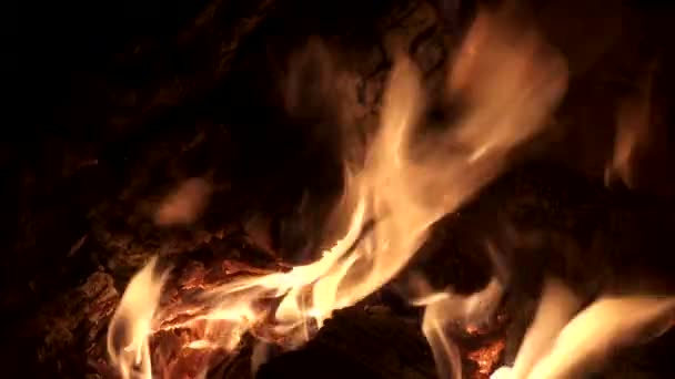 Сжигание бревен — стоковое видео