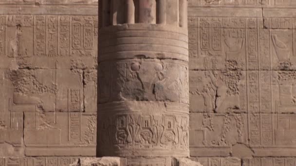 Tempel van horus — Stockvideo