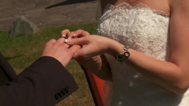 Anneaux de mariage — Video