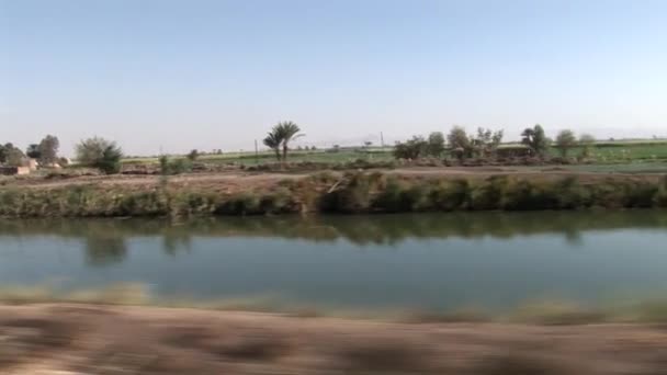 View along the river, Egypt — Stock Video