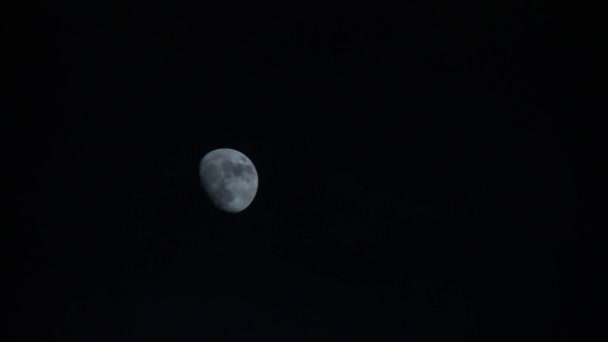 Nocne niebo z księżycem — Wideo stockowe
