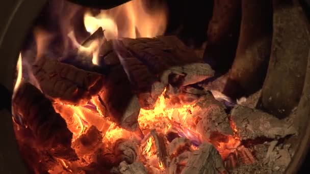 Fuego en el horno — Vídeo de stock