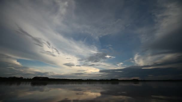 Excursion en bateau sur l'Amazone — Video