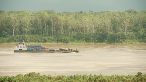 Балкер на річці Амазонка — стокове відео