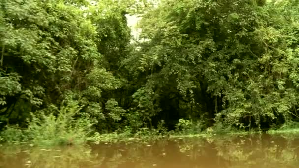 Boat trip at the Amazon river — Stock Video