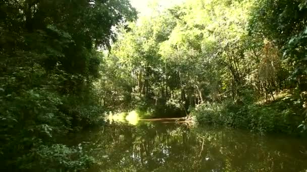 Envío en río Amazonas — Vídeos de Stock