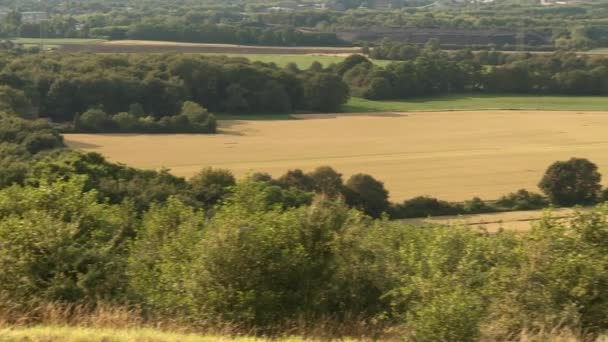 Paysage dans la Ruhr, Allemagne — Video