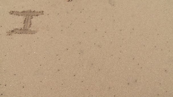Donna che disegna ti amo parole sulla sabbia — Video Stock