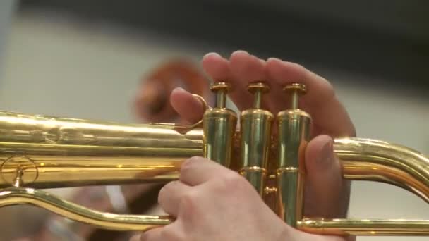 Trumpet player — Stock Video